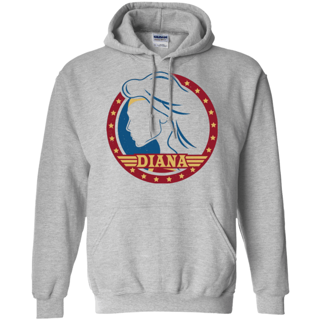 Sweatshirts Sport Grey / S Diana Pullover Hoodie