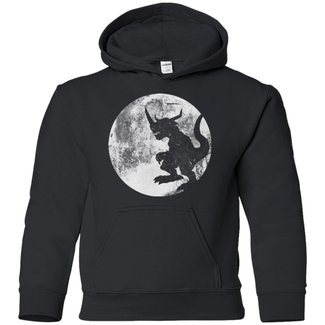 Sweatshirts Black / YS Digimon time Youth Hoodie