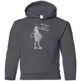 Sweatshirts Charcoal / YS Disappointed Youth Hoodie