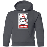 Sweatshirts Charcoal / YS Disobey Youth Hoodie