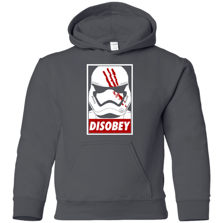 Sweatshirts Charcoal / YS Disobey Youth Hoodie
