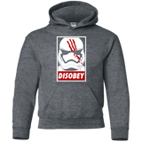 Sweatshirts Dark Heather / YS Disobey Youth Hoodie