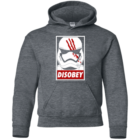 Sweatshirts Dark Heather / YS Disobey Youth Hoodie