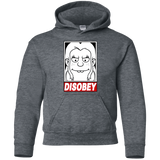 Sweatshirts Dark Heather / YS Disobey Youth Hoodie