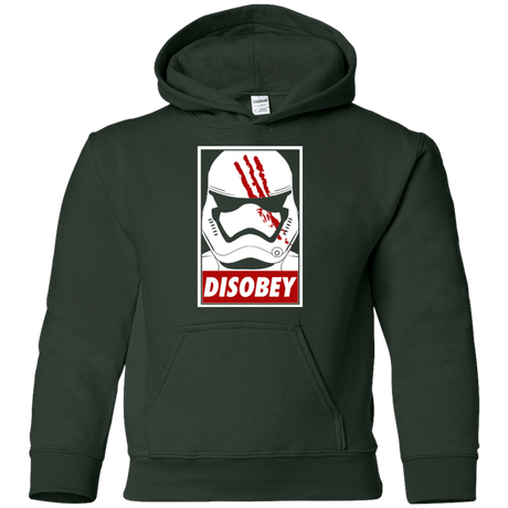 Sweatshirts Forest Green / YS Disobey Youth Hoodie