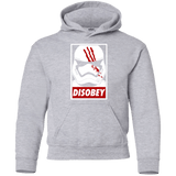 Sweatshirts Sport Grey / YS Disobey Youth Hoodie