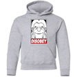 Sweatshirts Sport Grey / YS Disobey Youth Hoodie