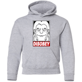 Sweatshirts Sport Grey / YS Disobey Youth Hoodie