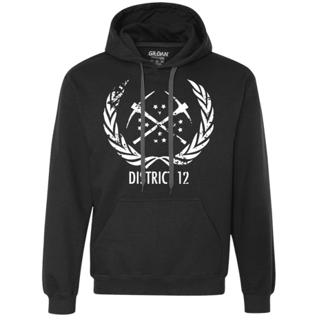 Sweatshirts Black / Small District 12 Premium Fleece Hoodie