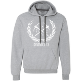 Sweatshirts Sport Grey / Small District 12 Premium Fleece Hoodie