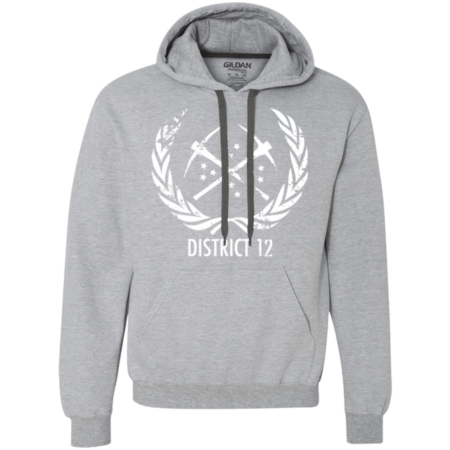 Sweatshirts Sport Grey / Small District 12 Premium Fleece Hoodie