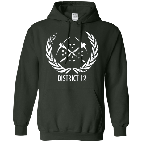 Sweatshirts Forest Green / Small District 12 Pullover Hoodie