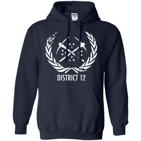 Sweatshirts Navy / Small District 12 Pullover Hoodie