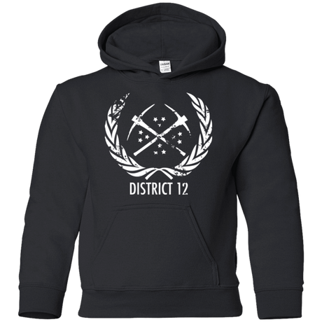 Sweatshirts Black / YS District 12 Youth Hoodie