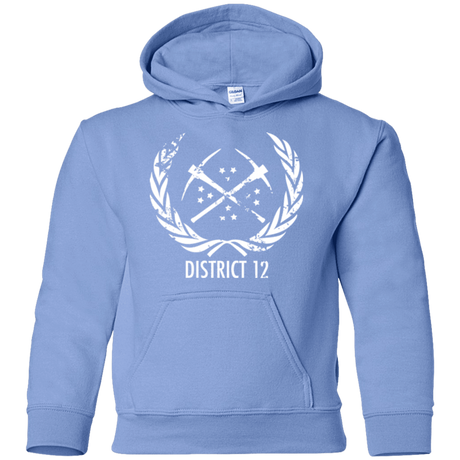 Sweatshirts Carolina Blue / YS District 12 Youth Hoodie