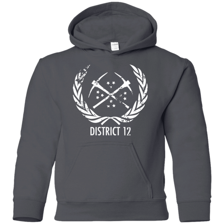 Sweatshirts Charcoal / YS District 12 Youth Hoodie