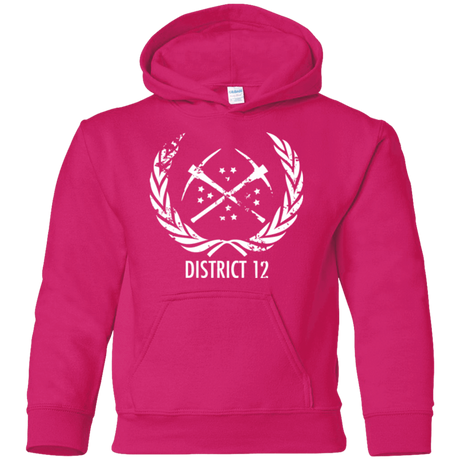 Sweatshirts Heliconia / YS District 12 Youth Hoodie