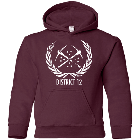 Sweatshirts Maroon / YS District 12 Youth Hoodie