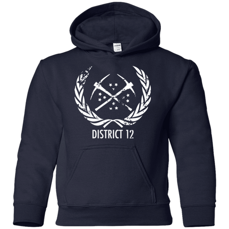 Sweatshirts Navy / YS District 12 Youth Hoodie