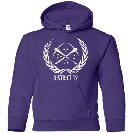 Sweatshirts Purple / YS District 12 Youth Hoodie