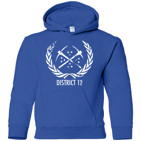 Sweatshirts Royal / YS District 12 Youth Hoodie