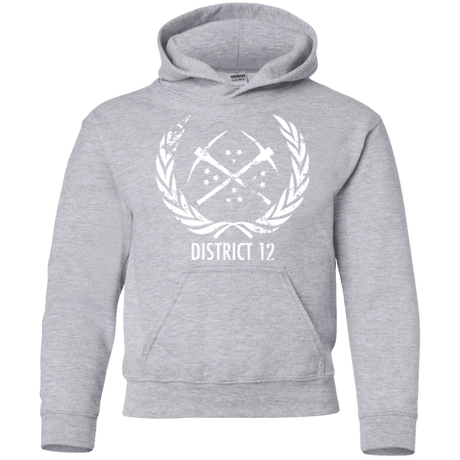 Sweatshirts Sport Grey / YS District 12 Youth Hoodie