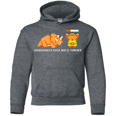 Sweatshirts Dark Heather / YS Dodongo Dislikes Smoke Youth Hoodie