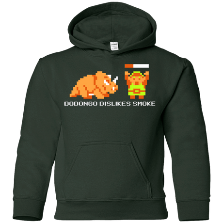 Sweatshirts Forest Green / YS Dodongo Dislikes Smoke Youth Hoodie