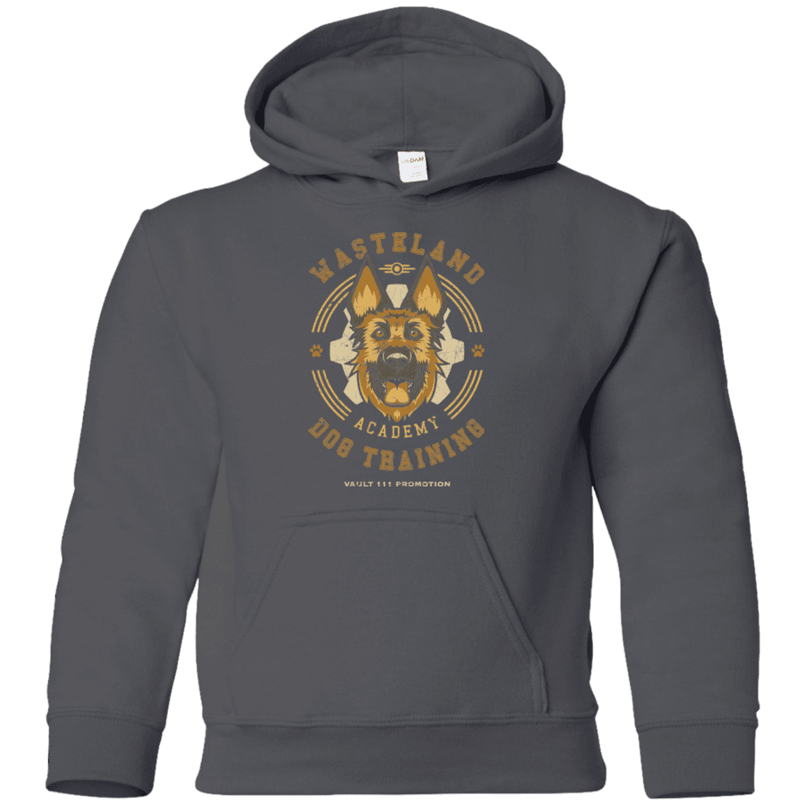 Sweatshirts Charcoal / YS Dogmeat Training Academy Youth Hoodie