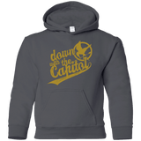 Sweatshirts Charcoal / YS Down with the Capitol Youth Hoodie