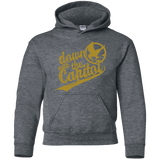 Sweatshirts Dark Heather / YS Down with the Capitol Youth Hoodie