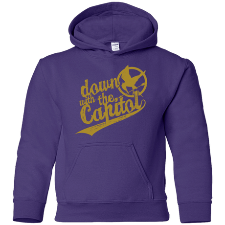 Sweatshirts Purple / YS Down with the Capitol Youth Hoodie