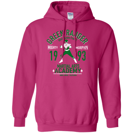 Dragon Ranger (1) Pullover Hoodie