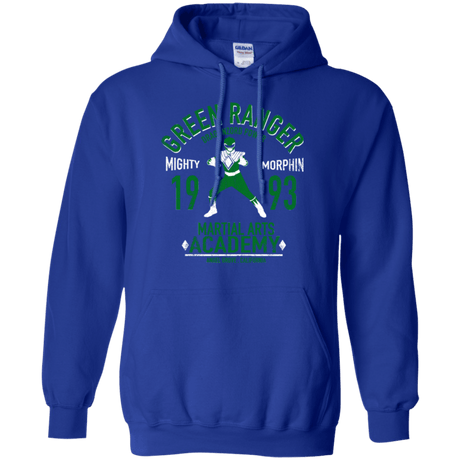 Dragon Ranger (1) Pullover Hoodie