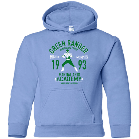 Sweatshirts Carolina Blue / YS Dragon Ranger (1) Youth Hoodie