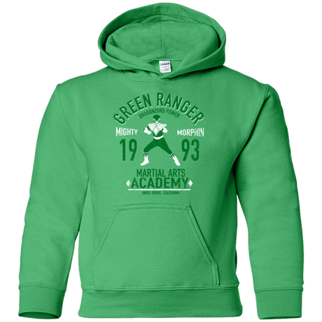 Sweatshirts Irish Green / YS Dragon Ranger (1) Youth Hoodie