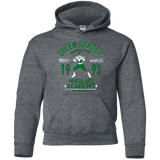 Sweatshirts Dark Heather / YS Dragon Ranger Youth Hoodie