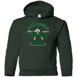 Sweatshirts Forest Green / YS Dragon Ranger Youth Hoodie