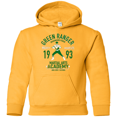 Sweatshirts Gold / YS Dragon Ranger Youth Hoodie