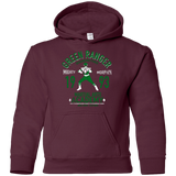 Sweatshirts Maroon / YS Dragon Ranger Youth Hoodie
