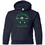 Sweatshirts Navy / YS Dragon Ranger Youth Hoodie