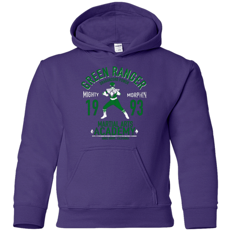 Sweatshirts Purple / YS Dragon Ranger Youth Hoodie