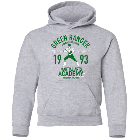 Sweatshirts Sport Grey / YS Dragon Ranger Youth Hoodie