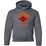 Sweatshirts Dark Heather / YS Dragon Team Youth Hoodie