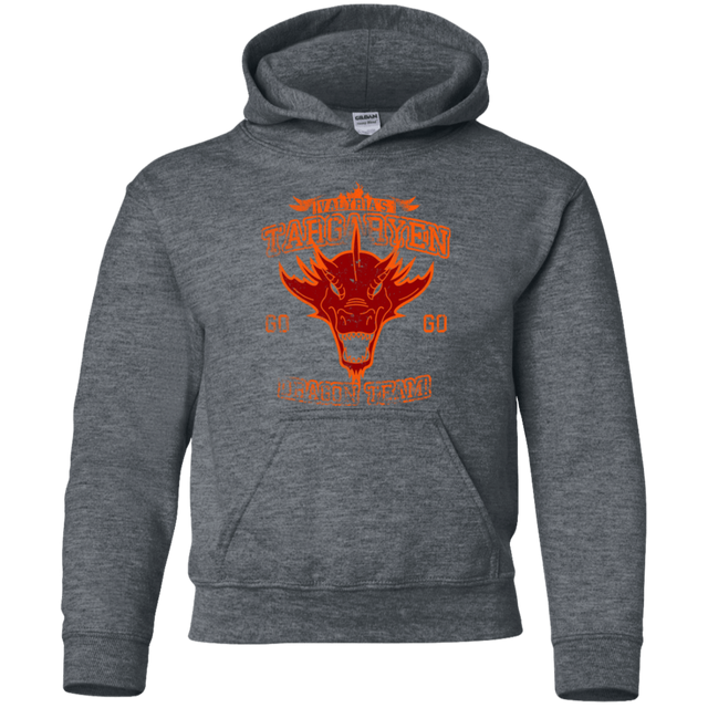 Sweatshirts Dark Heather / YS Dragon Team Youth Hoodie