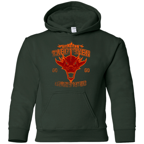 Sweatshirts Forest Green / YS Dragon Team Youth Hoodie