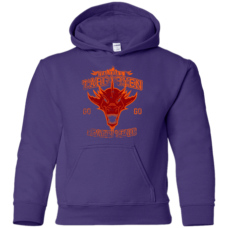 Sweatshirts Purple / YS Dragon Team Youth Hoodie