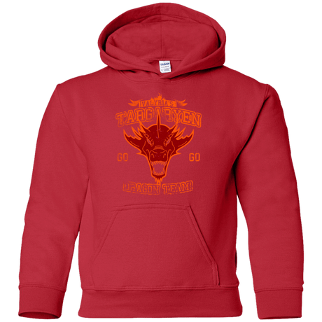 Sweatshirts Red / YS Dragon Team Youth Hoodie