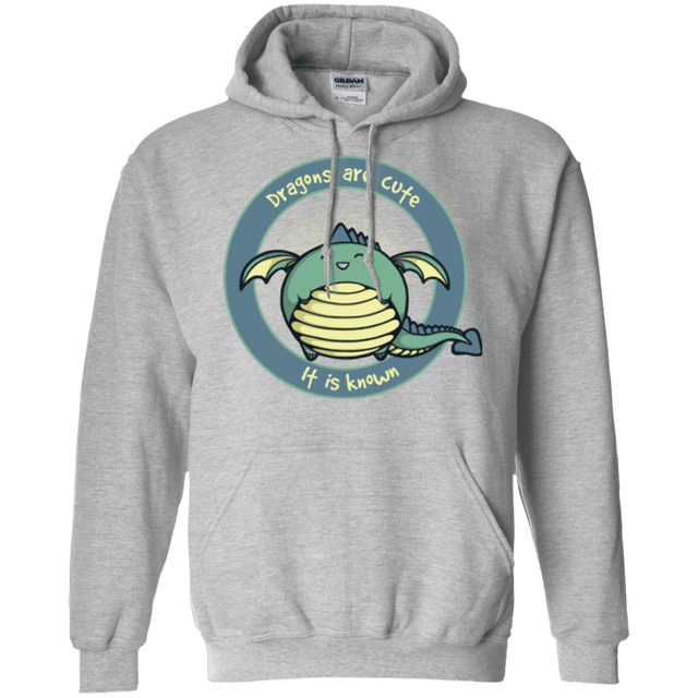 Sweatshirts Sport Grey / Small Dragons are Cute Pullover Hoodie