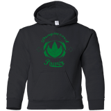 Sweatshirts Black / YS Dragonzord Power Youth Hoodie